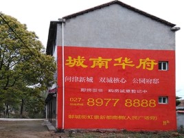 滨海百分之90的人都不了解的农村墙体广告