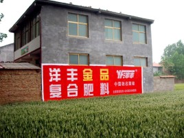 滨海如何让墙体广告展现最大化效果