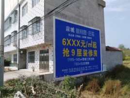 滨海墙体广告质量分析