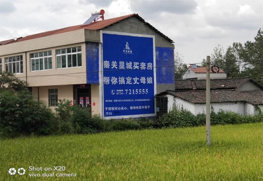 滨海决定墙体广告价格的因素有哪些？